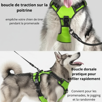  Caractéristiques techniques du harnais LED pour chien