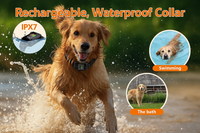 Collier GPS anti-fugue étanche IPX7 avec signal d'alerte ajustable pour 
chien