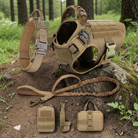 Kit complet 5 en 1 Happy Animalia beige sable : harnais tactique, collier, laisse bungee et pochettes MOLLE, posés sur un rocher en forêt pour grand chien.