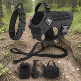 Kit complet 5 en 1 Happy Animalia noir : harnais tactique, collier, laisse bungee et pochettes MOLLE, posés sur un sentier en forêt pour grand chien.