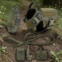 Kit complet 5 en 1 Happy Animalia vert militaire : harnais tactique, collier, laisse bungee et pochettes MOLLE, posés sur un sentier en forêt pour grand chien.