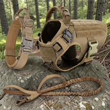 Kit complet Happy Animalia beige sable : harnais tactique, collier et laisse bungee assortis, posés sur un rocher en forêt pour grand chien.