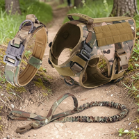 Kit complet Happy Animalia camouflage : harnais tactique, collier et laisse bungee assortis, posés sur un sentier en forêt pour grand chien.