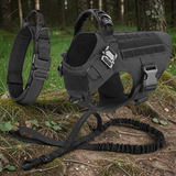 Kit complet Happy Animalia noir : harnais tactique, collier et laisse bungee assortis, posés en forêt pour grand chien.