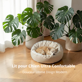 Chihuahua endormi dans un panier rond beige ultra confortable Happy Animalia, design moderne, entouré de plantes monstera.