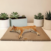 Shiba Inu endormi sur le lit orthopédique beige Happy Animalia, entouré de plantes succulentes, fond crème.