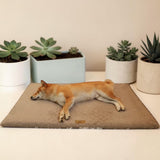 Shiba Inu endormi sur le lit orthopédique beige Happy Animalia, entouré de plantes succulentes, fond crème.
