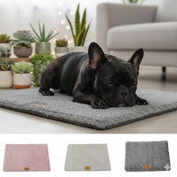 Bouledogue français noir endormi sur le lit orthopédique gris Happy Animalia, avec les 3 coloris disponibles : rose, beige et gris, fond salon lumineux.