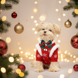 noeud papillon chien