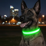Collier LED pour Chien - Promenades de Nuit Sécurisées  (Rechargeable & Imperméable)