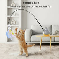 Chaton qui joue avec les plumes