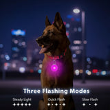 Collier LED pour Chien - Promenades de Nuit Sécurisées  (Rechargeable & Imperméable)