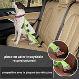 Ceinture de Sécurité pour Chien en Voiture - Idéale Voyages et Chiens Anxieux