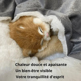 Panier orthopédique Happy Animalia pour petit chien et chat avec doublure moelleuse et bords surélevés pour le confort et le soutien articulaire.

