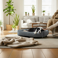 Border Collie allongé dans le panier orthopédique gris Happy Animalia, caressé par son maître dans un salon lumineux avec plantes et canapé blanc.