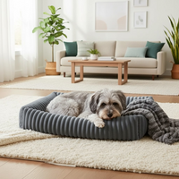 Schnauzer gris allongé avec couverture dans le panier orthopédique gris Happy Animalia, fond salon lumineux avec canapé beige et coussins verts.