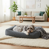 Schnauzer gris allongé avec couverture dans le panier orthopédique gris Happy Animalia, fond salon lumineux avec canapé beige et coussins verts.