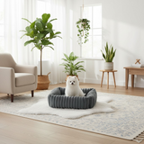 Spitz nain blanc assis dans le panier orthopédique gris Happy Animalia, fond salon lumineux bohème avec plantes et fauteuil beige.