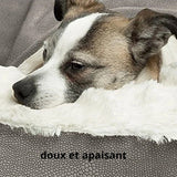 Panier orthopédique Happy Animalia pour petit chien avec doublure blanche moelleuse et base grise texturée, conçu pour soulager la douleur et apporter du confort.