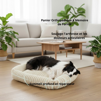 Border Collie endormi dans le panier orthopédique beige Happy Animalia — mémoire de forme, soulage l'arthrose et les douleurs articulaires, sommeil profond et réparateur, fond salon scandinave.