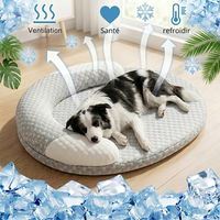 Infographie d'un chien Border Collie couché sur un panier rafraîchissant gris et blanc, entouré de glaçons avec des flèches d'air frais et des icônes pour la ventilation, la santé et le refroidissement.