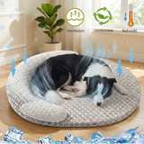 Infographie d'un chien Border Collie dormant sur un panier rafraîchissant gris, avec des illustrations de flux d'air et des icônes mettant en avant la ventilation, le confort et l'effet thermorégulateur.