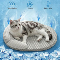 Panier auto-rafraîchissant et ventilé pour chat, conçu pour préserver la santé de l'animal et le protéger des coups de chaleur estivaux.