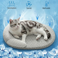 Panier auto-rafraîchissant et ventilé pour chat, conçu pour préserver la santé de l'animal et le protéger des coups de chaleur estivaux.