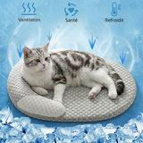 Panier auto-rafraîchissant et ventilé pour chat, conçu pour préserver la santé de l'animal et le protéger des coups de chaleur estivaux.